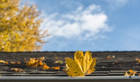 Calgary Eavestrough Explainer: How To Prepare For Fall