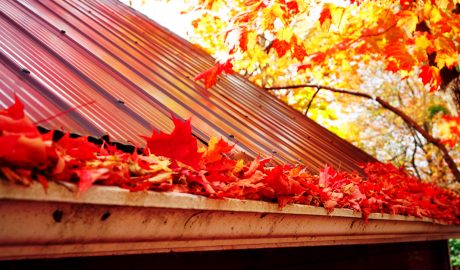 How To Prepare Your Roof For Spring