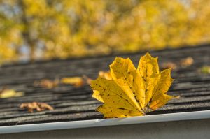 A Difference Between Eavestrough & Gutter?