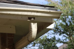 Signs You Need to Replace Your Eavestrough